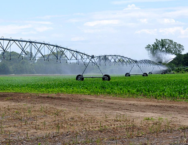 Irrigation