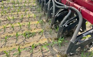 Cadman Manure Application