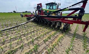 Cadman Manure Application 1